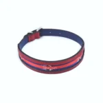 Collar para Perro "Fuerza Tiburón" en Cuero