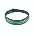 Collar para Perro «Pasion Verdolaga» en Cuero