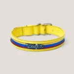 Collar Insignia Tricolor Slim - Imagen 11