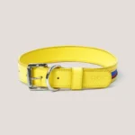 Collar Insignia Tricolor Slim - Imagen 12