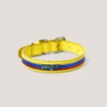 Collar Insignia Tricolor Slim