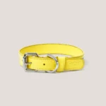 Collar Insignia Tricolor Slim - Imagen 9