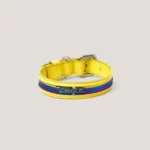 Collar Insignia Tricolor Slim - Imagen 4