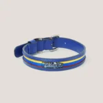 Collar Insignia Tricolor Slim - Imagen 6