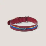 Collar Insignia Tricolor Slim - Imagen 8