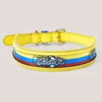 Collar Insignia Tricolor Titan - Imagen 8