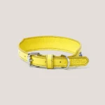 Collar Insignia Tricolor Titan - Imagen 6