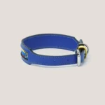 Collar Insignia Tricolor Titan - Imagen 10