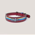Collar Insignia Tricolor Titan - Imagen 11