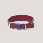 Collar Insignia Tricolor Titan - Imagen 12
